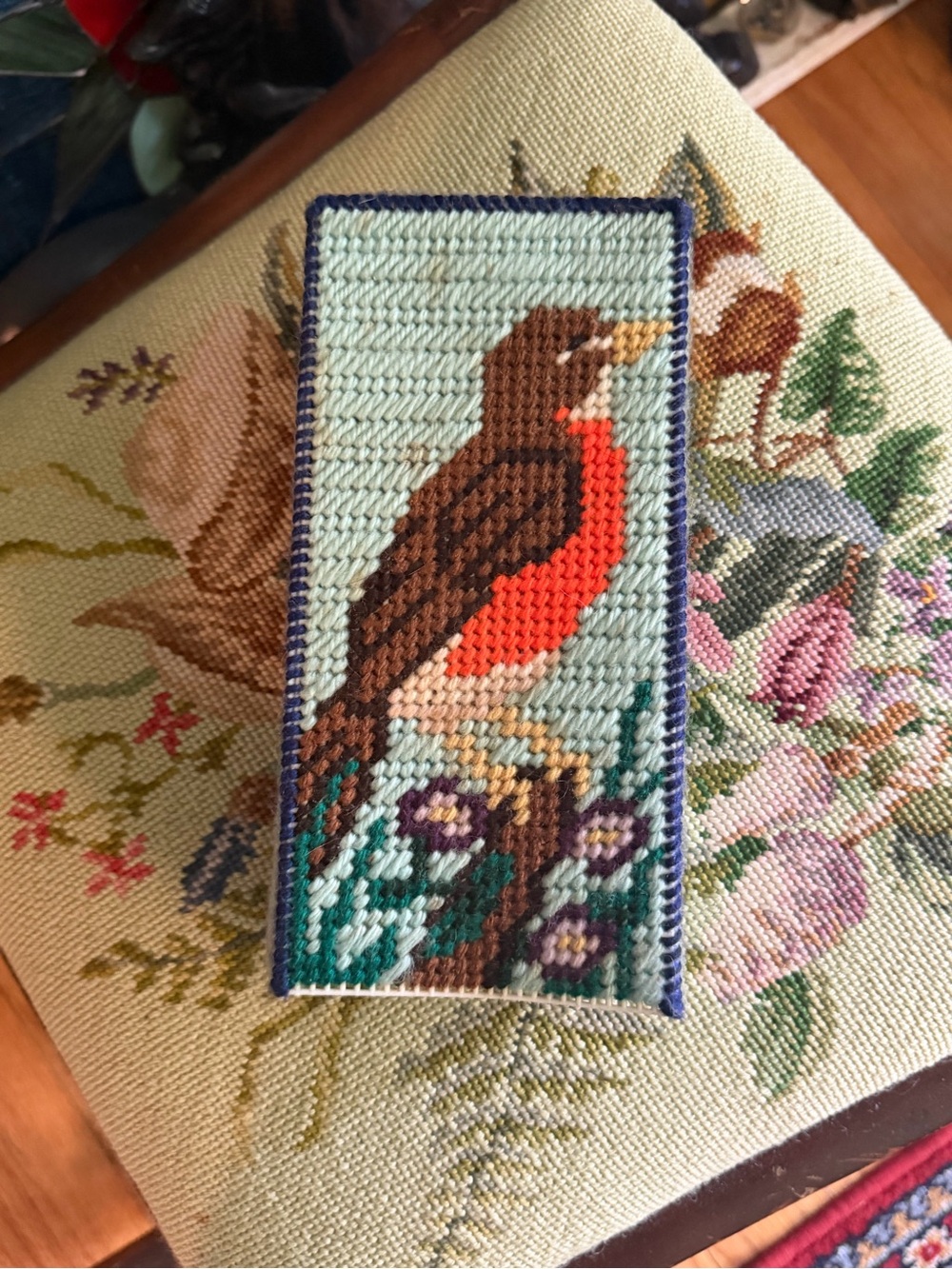 Vintage Needlepoint Plastic Canvas Tissue Box? With an American Robin Bird